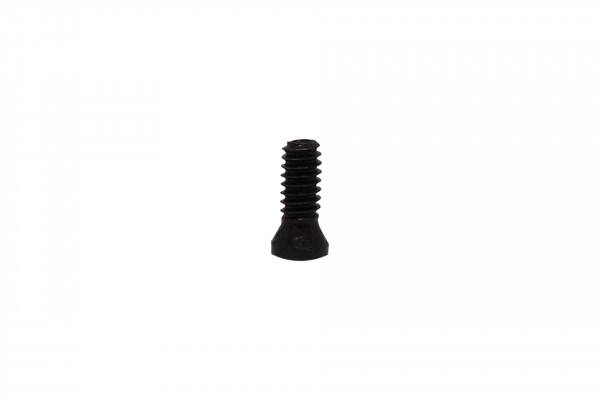 paulimot_Torx-Schraube M2,2 x 6_1