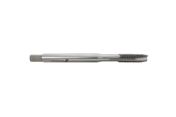 paulimot_Maschinen-Gewindebohrer M8x1,25 und M10x1,5_1