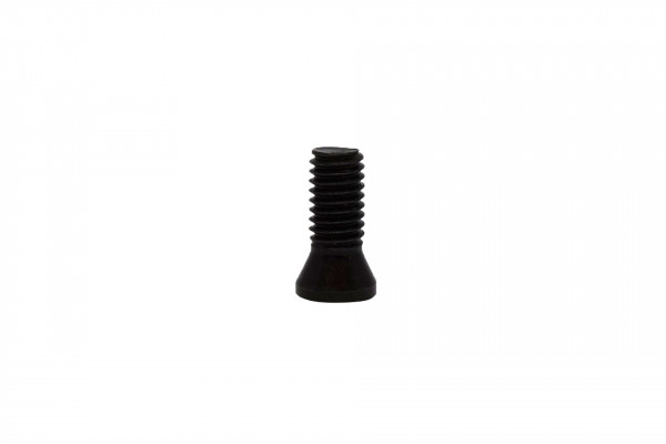 paulimot_Torx-Schraube M3 x 8_1