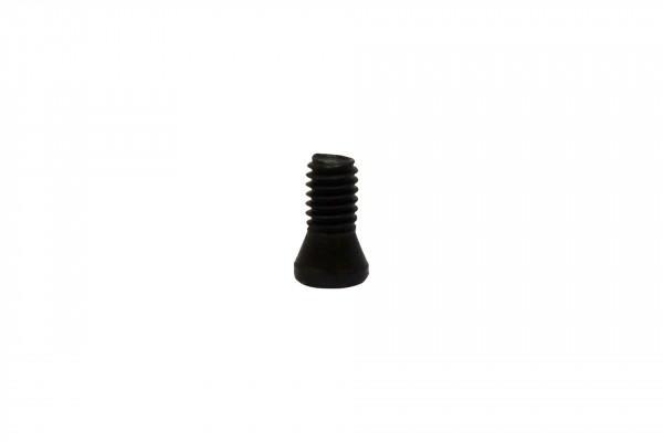 paulimot_Torx-Schraube M2,5 x 6_1