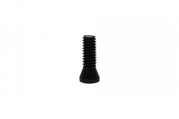 paulimot_Torx-Schraube_M2,5 x 8_1